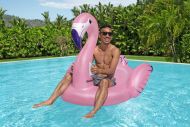 Bestway Luxury Flamingo 153x143 cm