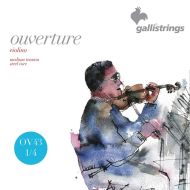 Gallistrings 1/4 viulun kielisetti